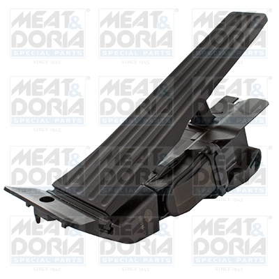 Accelerator Pedal Unit
